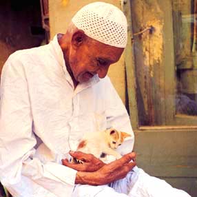 Un gatito en el regazo de un anciano en Darb al-Ahmar