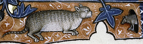 Bestiario_medieval_2