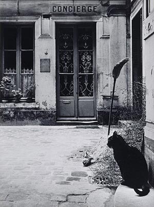 El gato de la portera (Calle de Tournon)
