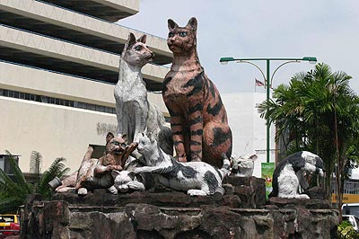 Conjunto gatuno en una calle de Kuching