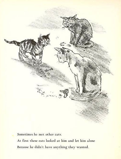 A veces se cruzaba con otros gatos. Al principio no le hacían caso porque no tenía nada que les interesase.