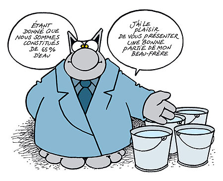 Dado que el 65% de nuestro cuerpo es agua, permítanme presentarles a la mayor parte de mi cuñado