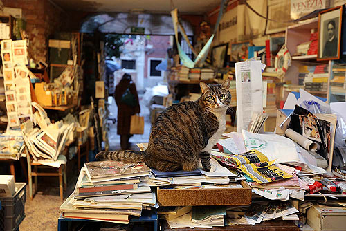 La libreria Acqua Alta
