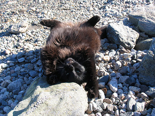 Marty, 1 de mayo de 2011