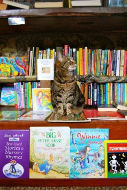 Uno de los gatos de la librería Word on the Water (Londres)