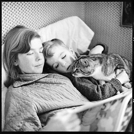 470a5f14368171b81c6a0b5af8e28afb