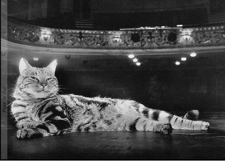 El incomparable Beerholm (Globe Theatre, actual Gielgud)