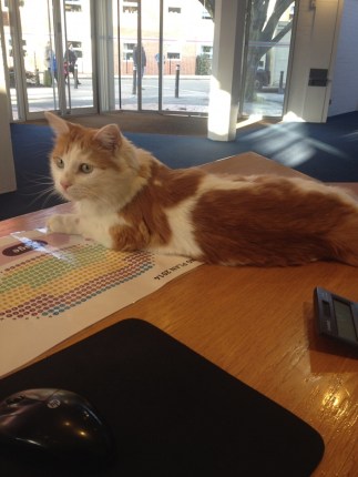 Harry, alias Warren (Mercury Theatre, Colchester)