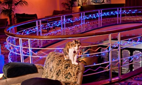 La muy lamentada Marzipan (cine Astor, Australia)