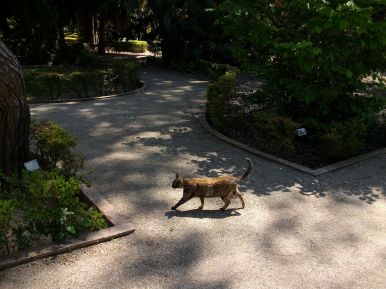 Botánico Valencia 1