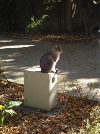 Botánico Valencia 2