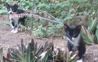 Botánico Valencia 3