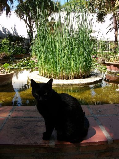 Botánico Valencia 4