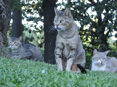 Botánico Valencia 5