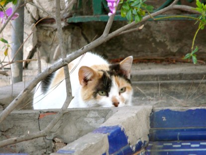 P1580551 - Versión 2