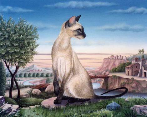 El siamés de Van Loo