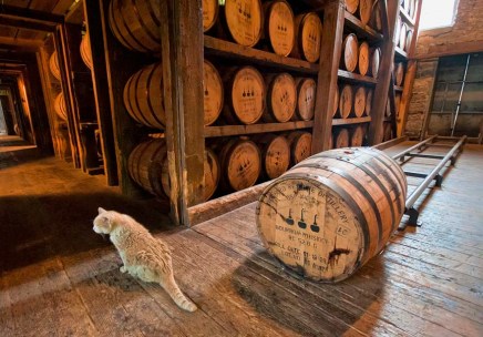 Elijah, de la destilería Woordworth Reserve, entre barriles