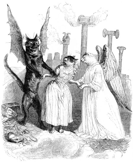 Penas de amor de una gata francesa