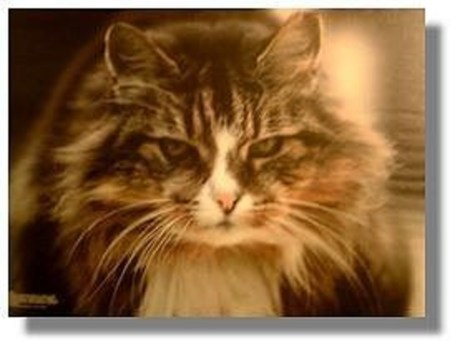 Towser, de la destilería Glenturret