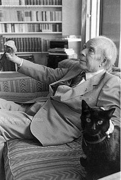 Con el gato negro desconocido