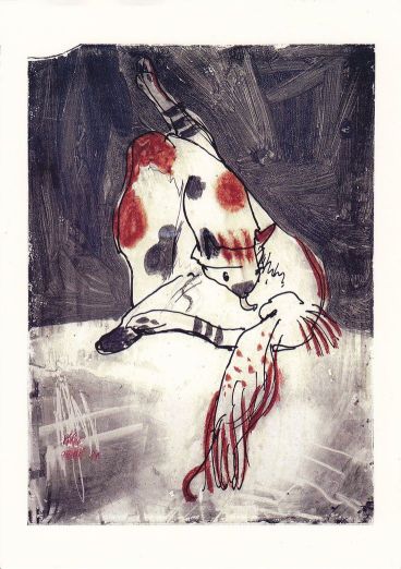 Gata con manchas pelirrojas