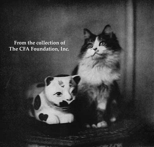 Feathers con un reposa cabeza chino