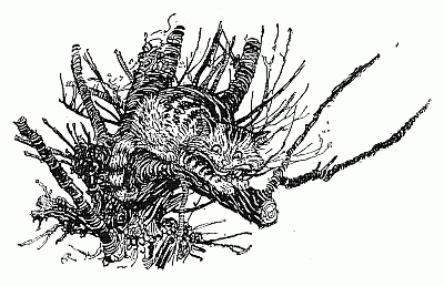 El gato de Cheshire de Arthur Rackham