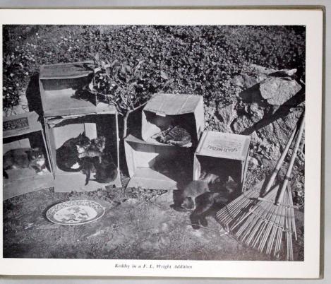 El refugio Frank Lloyd Wright