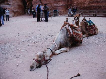 9bb41f89946f95ccb7457af8e12538d1