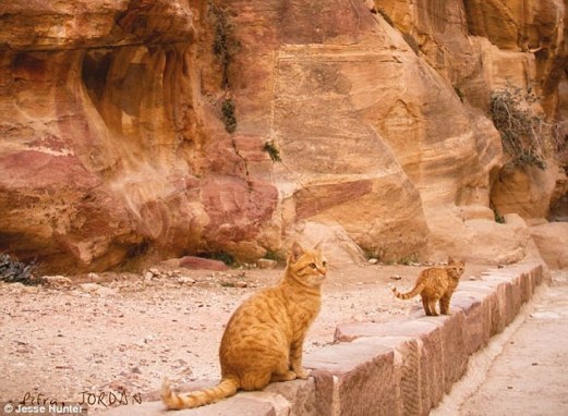 article-2757737-216792bc00000578-973_634x466