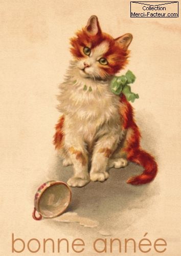 felicitacion-francesa