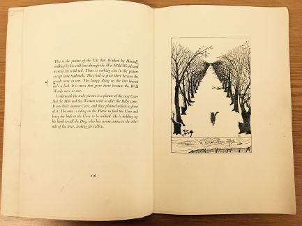 Ilustración realizada por el autor