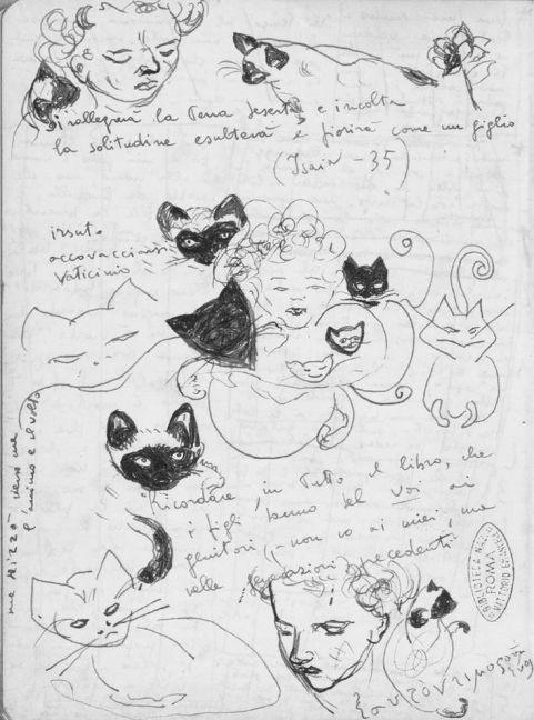 Canto por el Gato Alvaro - El amor tiene forma de gato