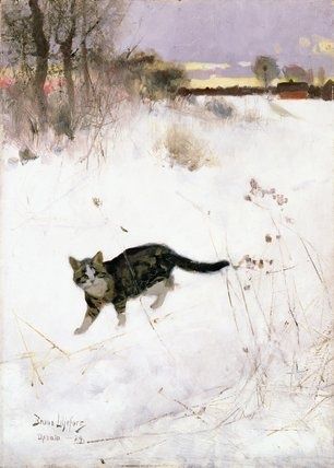 Gato en la nieve