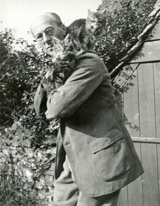 Gatos de cuento de Arthur Rackham – Gatos y Respeto
