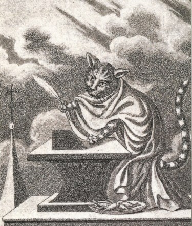un-gato-llamado-murr-y-e-t-a-hoffmann-gatos-y-respeto